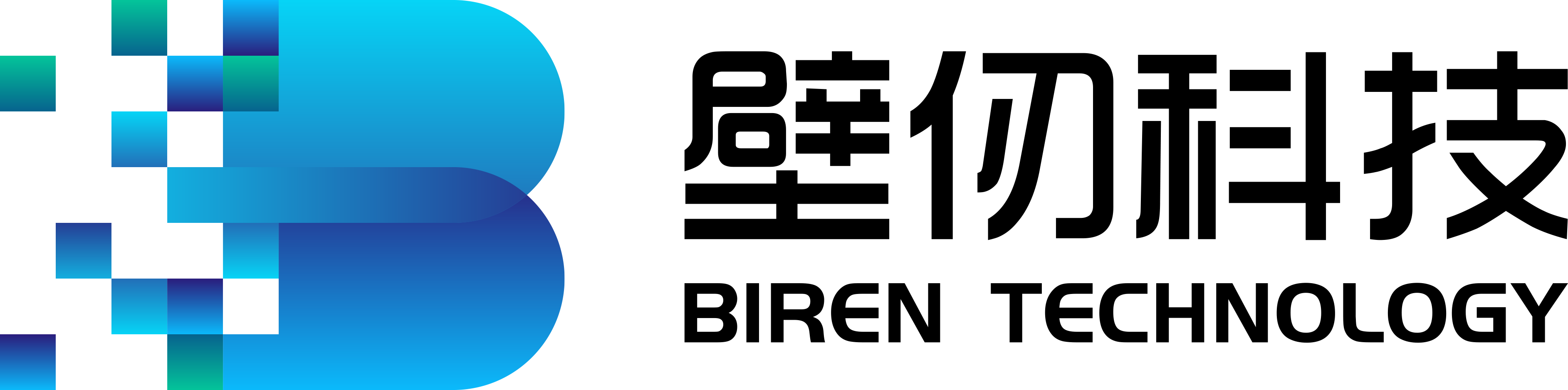 壁仞科技LOGO-1.png